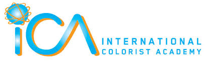 Apply for two courses : Colorist Strategies and Advanced Color Design