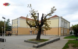 Ante Bogicevic Elementary School