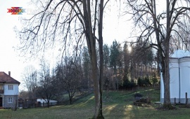 Brankovina estate