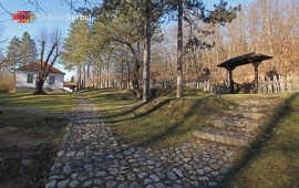 Brankovina estate