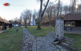 Brankovina estate