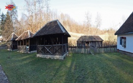 Brankovina estate
