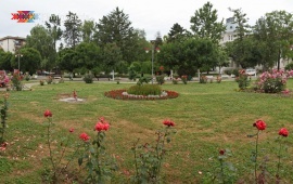 Center of Veliko Gradište