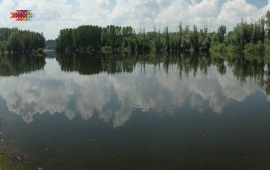 Canal near Bačko Novo Selo