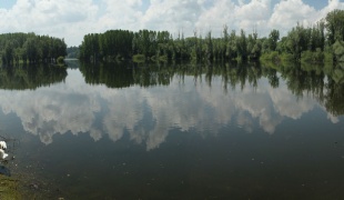 Canal near Bačko Novo Selo