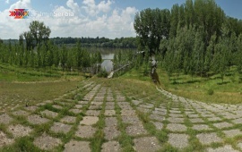 Canal near Bačko Novo Selo