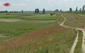 Canal near Bačko Novo Selo