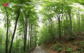 Hunting Ground “Đerdap”