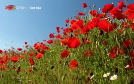 The Remains of Diana Fortress