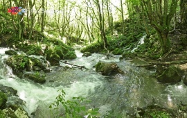 The Blederija River Source