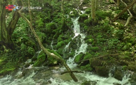 The Blederija River Source