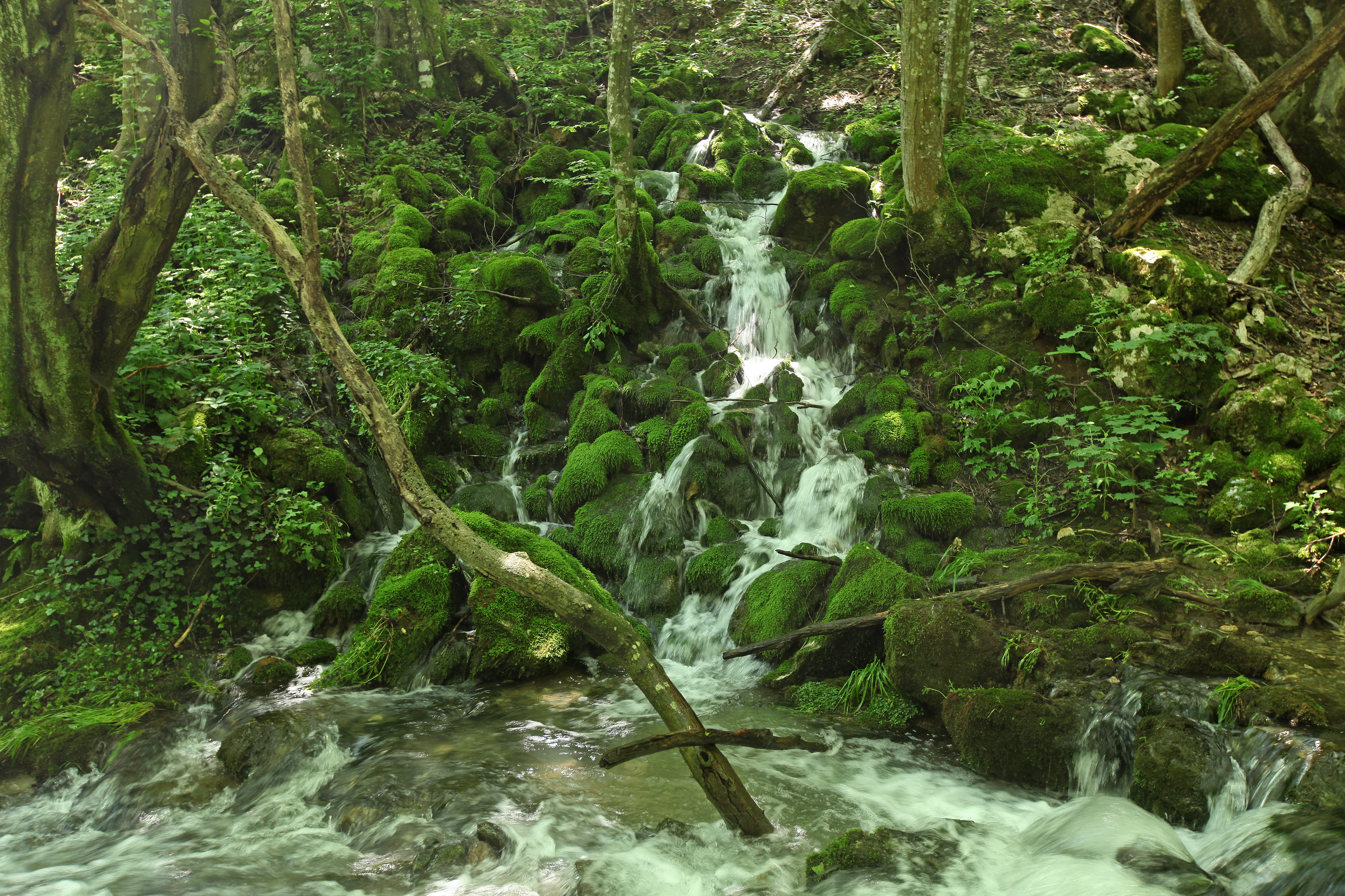 The Blederija River Source