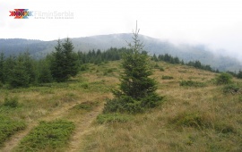 Kopaonik Mountain