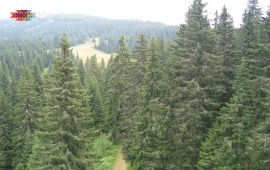 Kopaonik Mountain