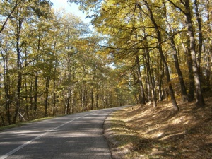 Kosmaj Mountain