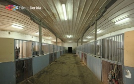 Ljubičevo Stable