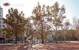 Nikola Pašić Square