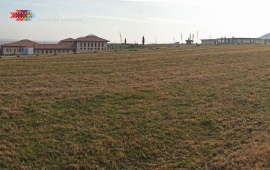 Viminacium