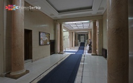 The Serbian Academy of Sciences and Arts