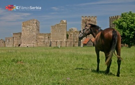 Smederevo Fortress