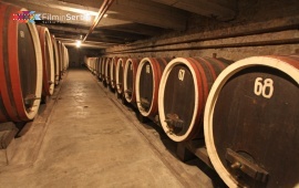The King’s cellar