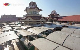 Zeleni venac Green market