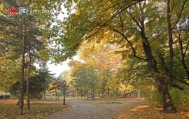 Zemun park
