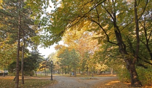 Zemun park