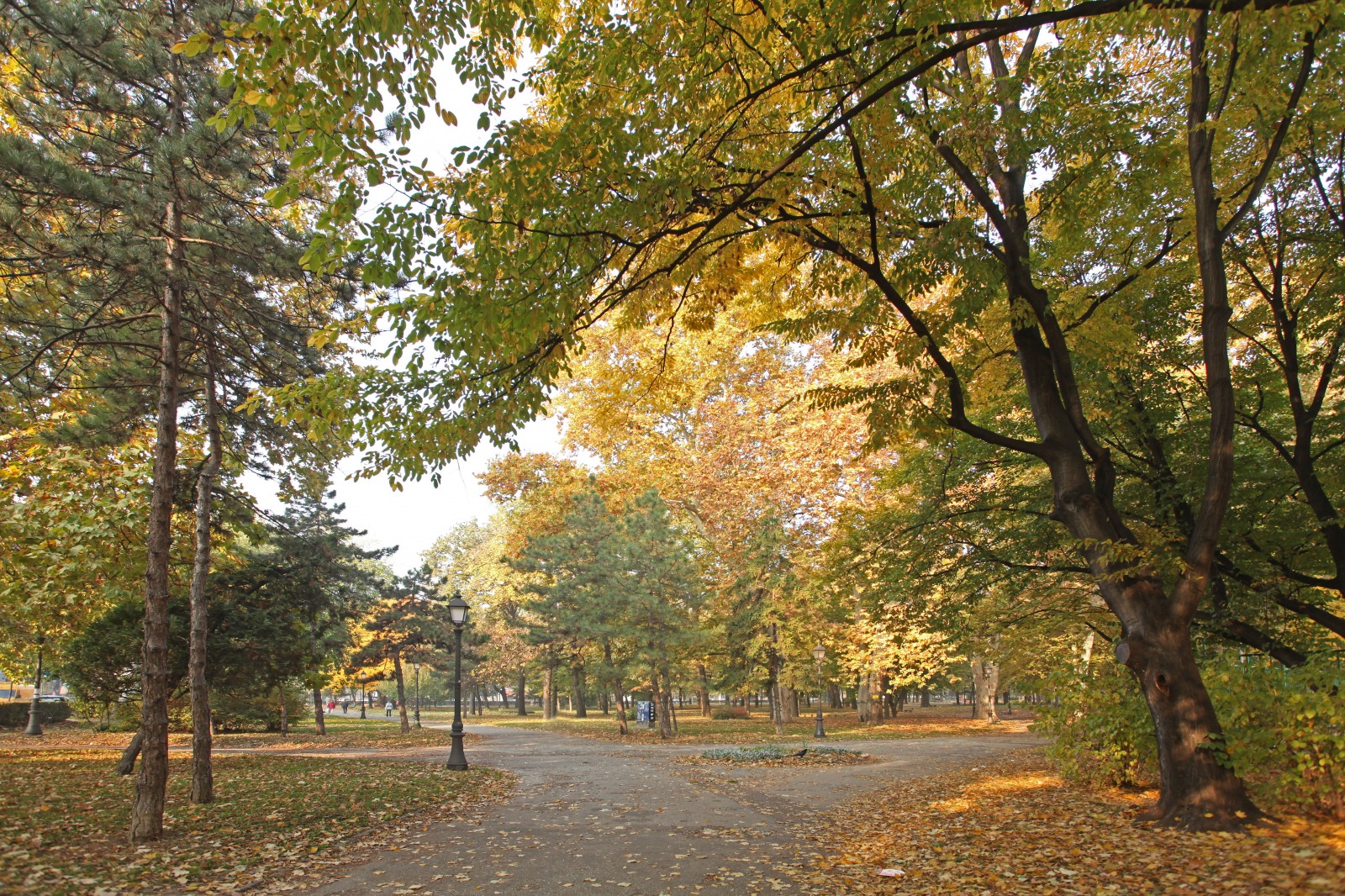 Zemun park
