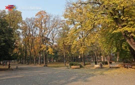 Zemun park