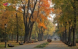 Zemun park