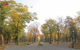 Zemun park