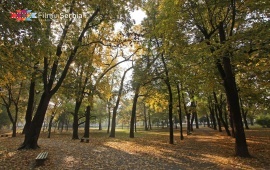 Zemun park