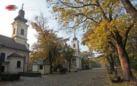 Zemun park
