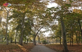 Zemun park