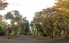 Zemun park