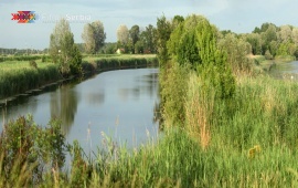 Carska bara – The Imperial Swamp