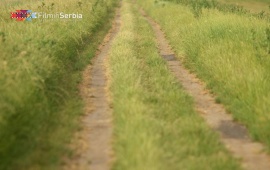 Carska bara – The Imperial Swamp