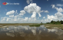 Carska bara – The Imperial Swamp