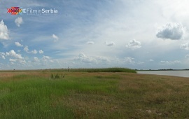 Carska bara – The Imperial Swamp