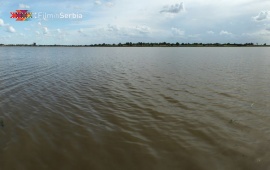 Carska bara – The Imperial Swamp