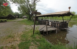 Carska bara – The Imperial Swamp