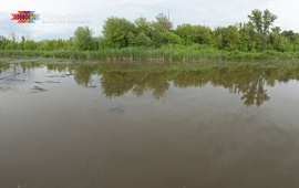 Carska bara – The Imperial Swamp