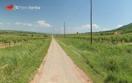Vršac Vineyards