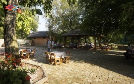 Koviljsko-petrovaradinski rit