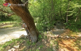 The Black Timok Source