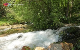 The Black Timok Source