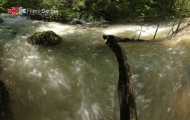 The Black Timok Source