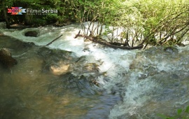 The Black Timok Source