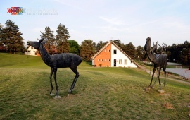 The Education Center “Čardak”